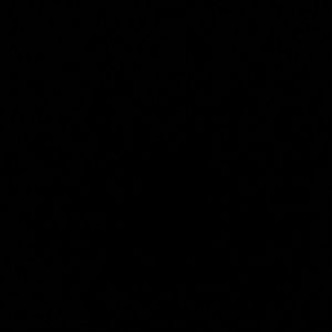 Meet your Posher, Winston